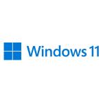 Microsoft Windows 11 Professional 64B Italiano DVD OEM (FQC-10538) vendita abbinata ad acquisto PC