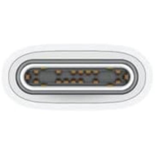 APPLE CAVO USB-C - USB-C (1 Mt.)