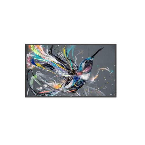 MONITOR PHILIPS DIGITAL SIGNAGE 31.5 Q-Line 32BDL3511Q/00 6.5ms MM FHD BLACK DVI 2xHDMI 2xUSB LAN Vesa NO BASE Fino:31/10